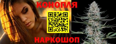 сатива Ангарск