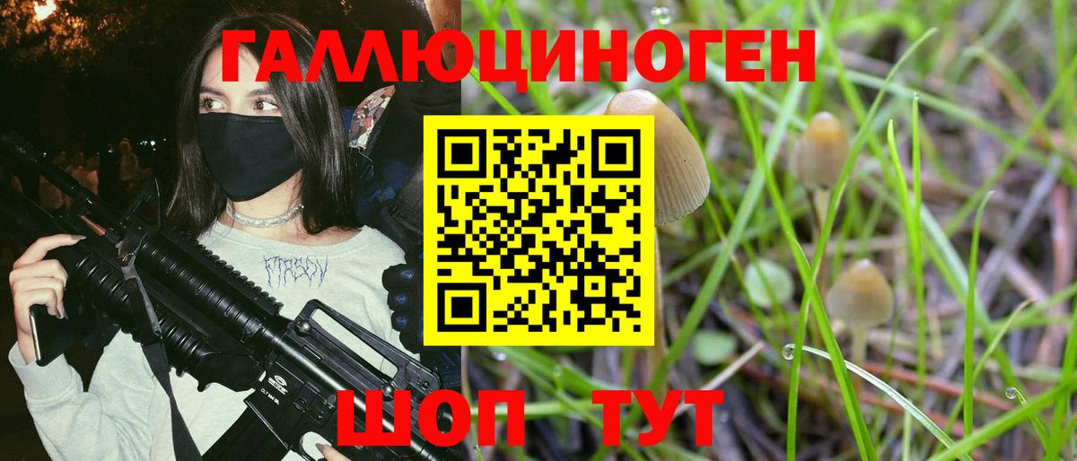 Галлюциногенные грибы прущие грибы  Вход с VPN  Галлюциногенные грибы MAGIC MUSHROOMS  Ишим 